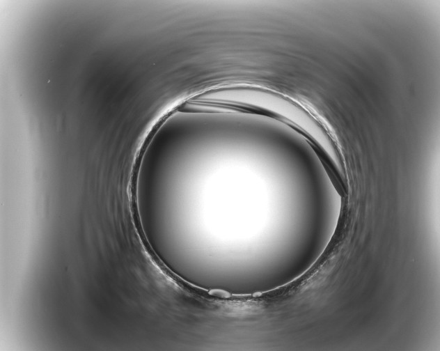 X0000085311189200703161446