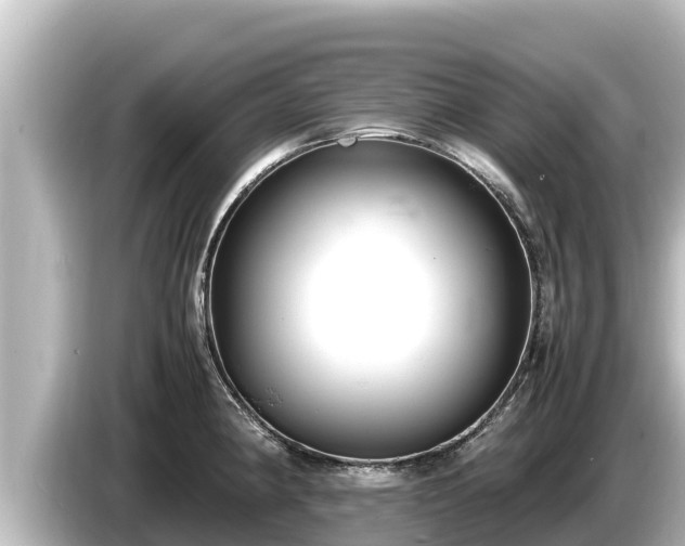 X0000085311190200703161446