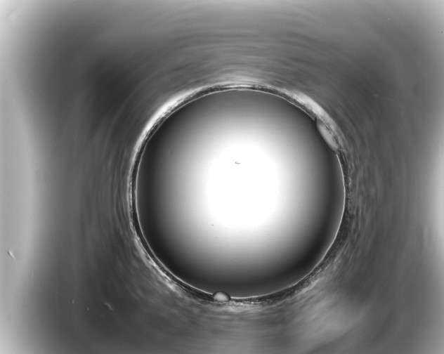 X0000085311191200703161446
