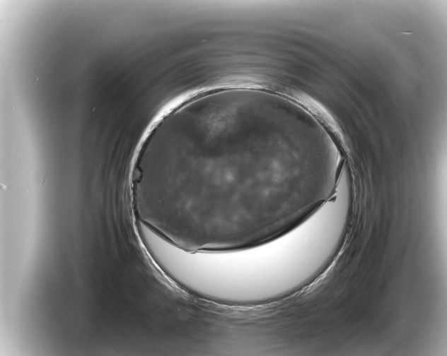 X0000085311192200703161446