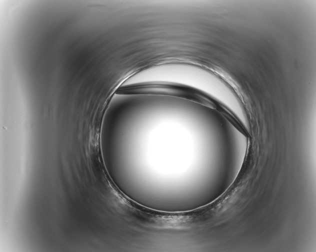 X0000085311193200703161446