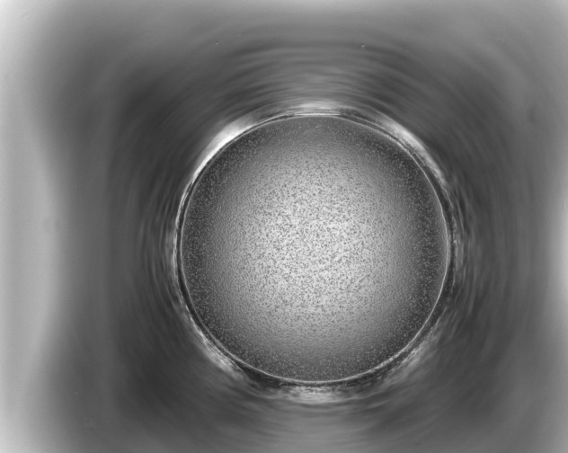 X0000085311194200703161446