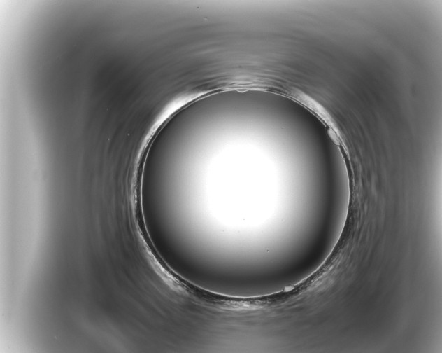 X0000085311195200703161446