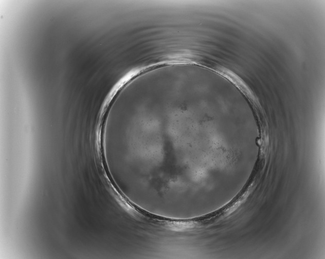 X0000085311196200703161446