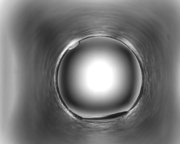 X0000085311197200703161446