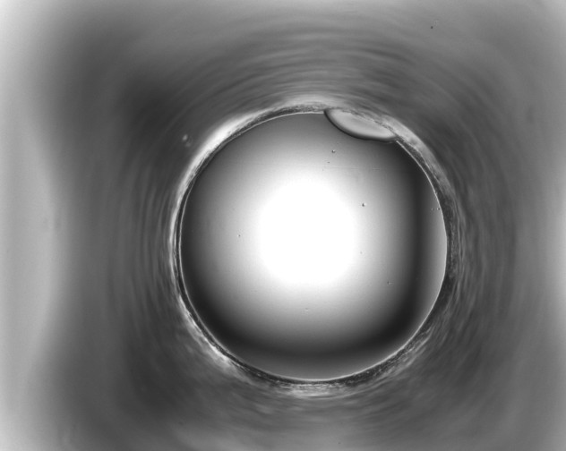 X0000085311199200703161446