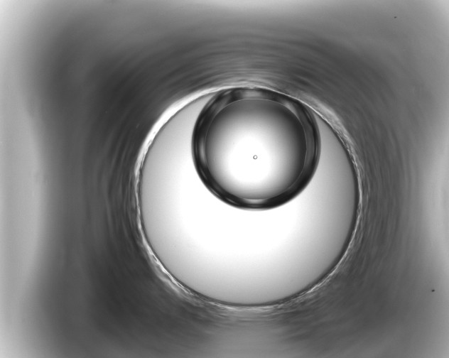 X0000085311200200703161446