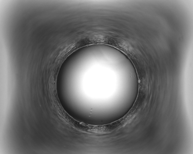 X0000085311201200703161446