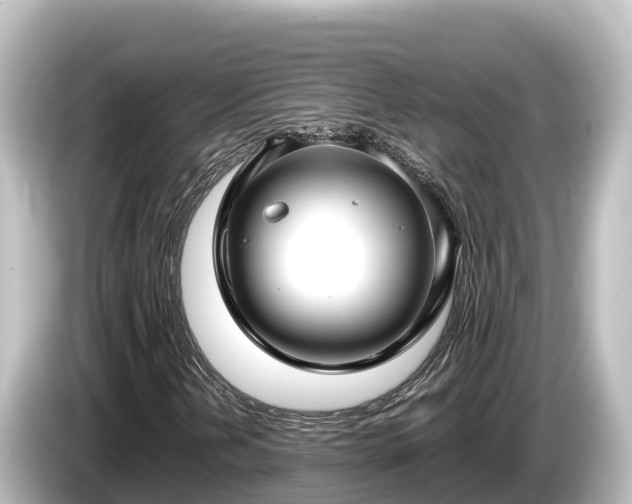 X0000085311202200703161446