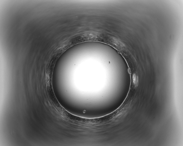 X0000085311203200703161446