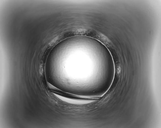 X0000085311204200703161446