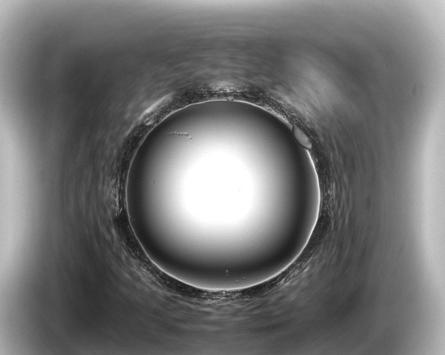 X0000085311205200703161446