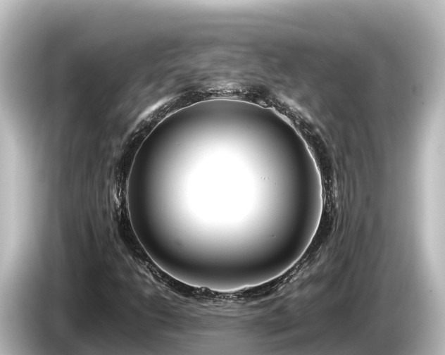 X0000085311206200703161446