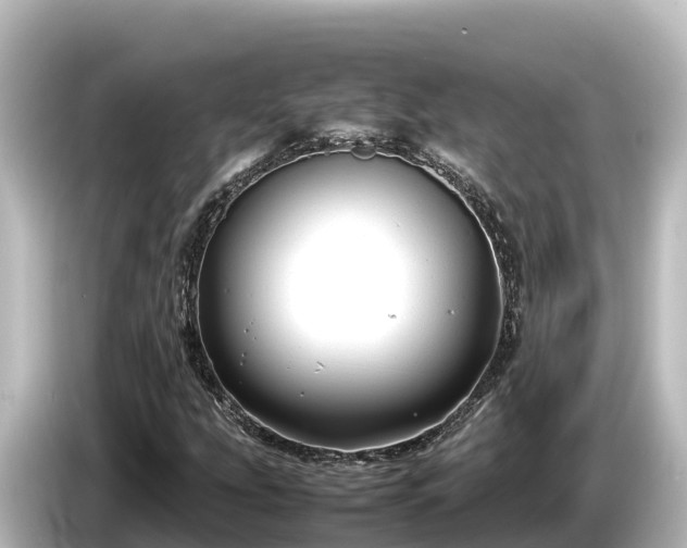 X0000085311207200703161446