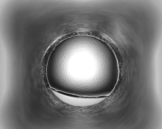X0000085311208200703161446