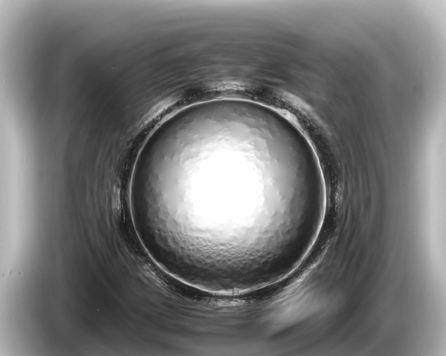 X0000085311209200703161446