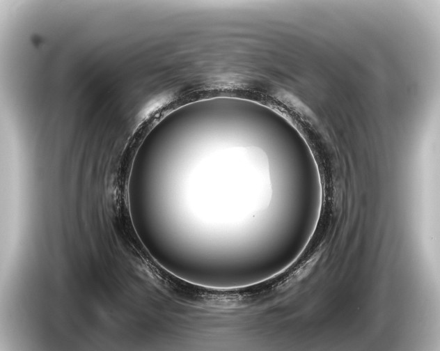 X0000085311210200703161446