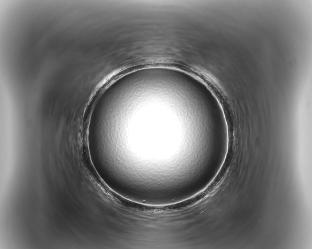 X0000085311212200703161446