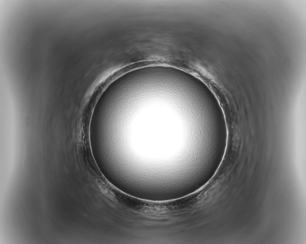 X0000085311215200703161446