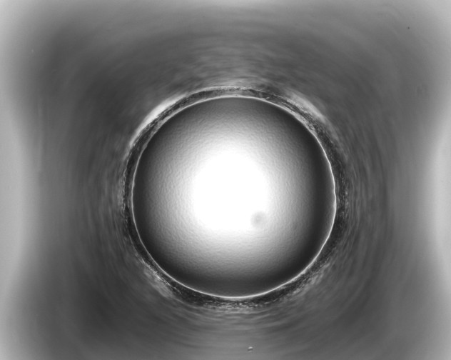 X0000085311216200703161446