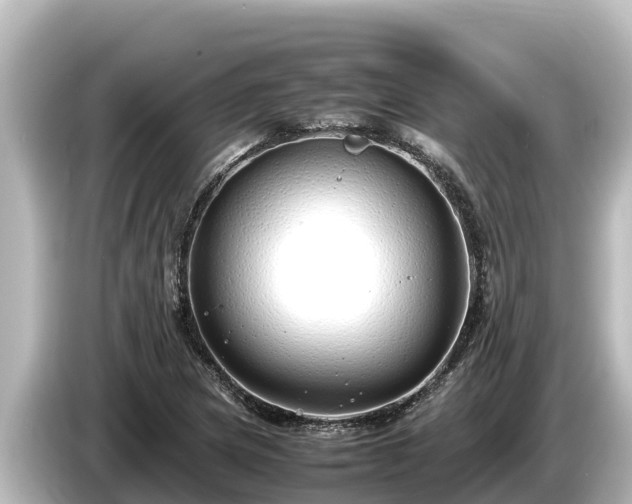 X0000085311217200703161446