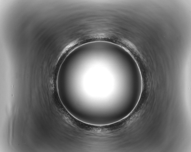 X0000085311218200703161446
