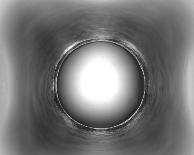 X0000085311220200703161446