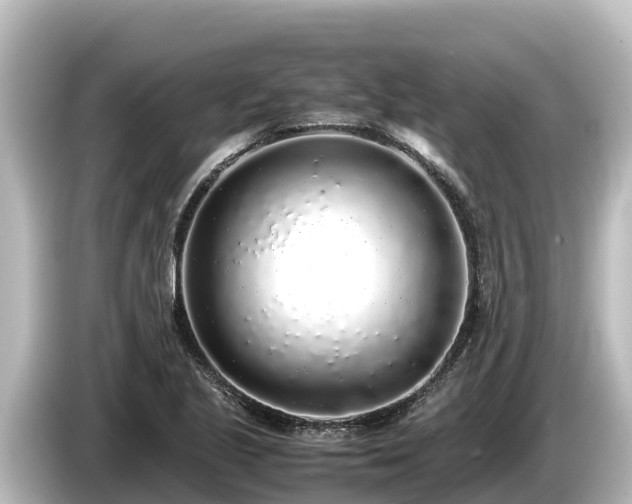 X0000085311221200703161446