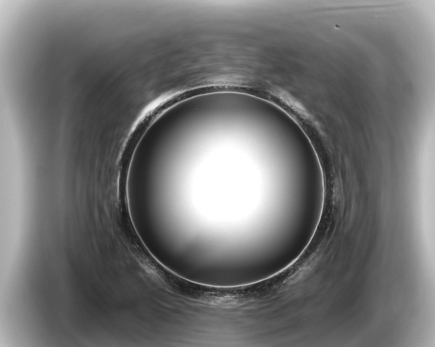 X0000085311222200703161446