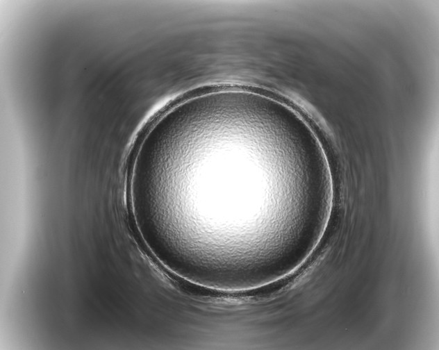 X0000085311224200703161446