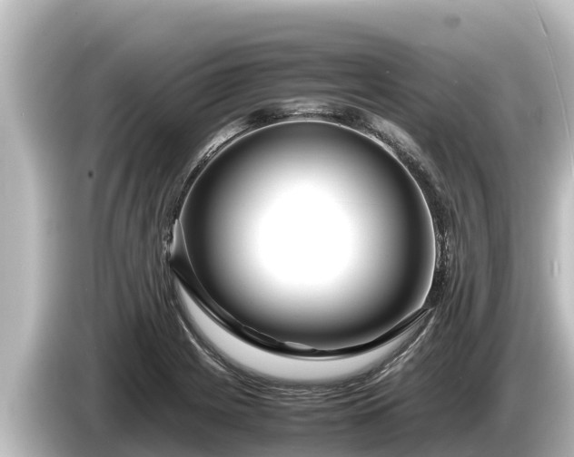 X0000085311225200703161446