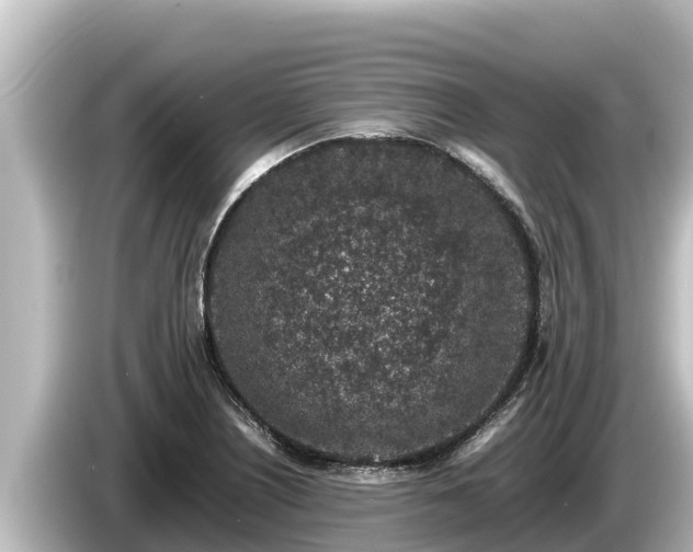 X0000085311226200703161446