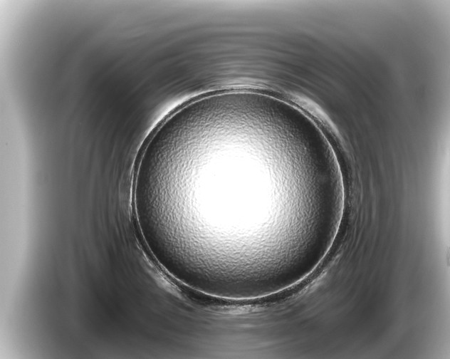 X0000085311228200703161446