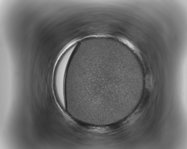 X0000085311229200703161446