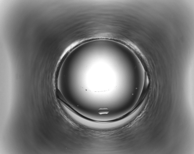 X0000085311230200703161446