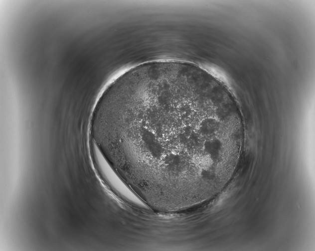 X0000085311231200703161446