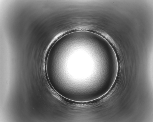 X0000085311232200703161446