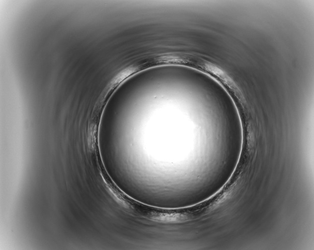 X0000085311233200703161446