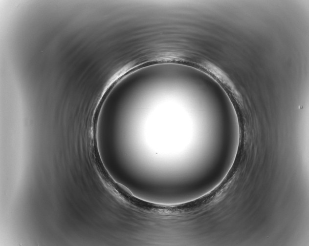 X0000085311234200703161446