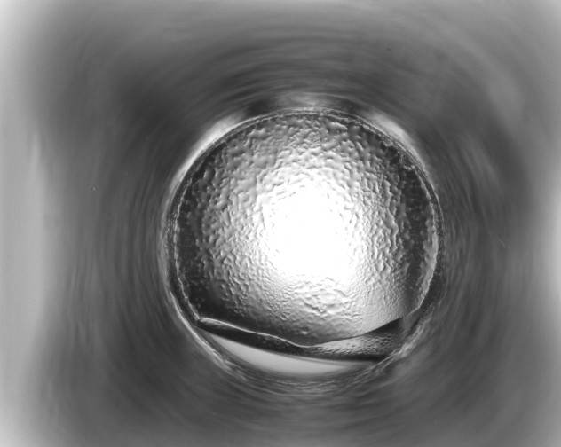 X0000085311235200703161446