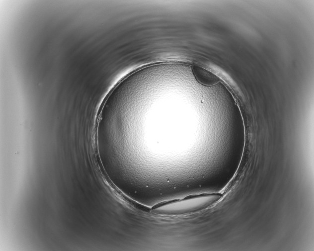X0000085311236200703161446
