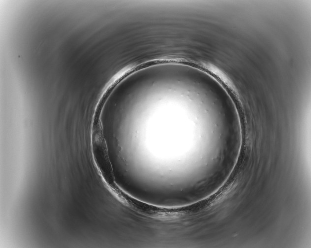 X0000085311237200703161446