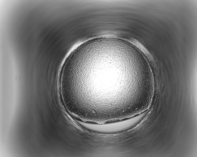 X0000085311240200703161446