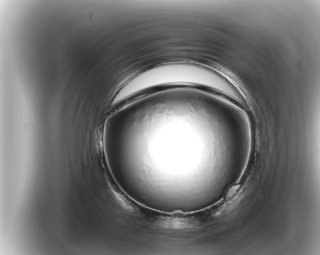 X0000085311241200703161446