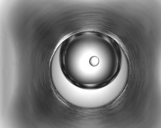 X0000085311242200703161446