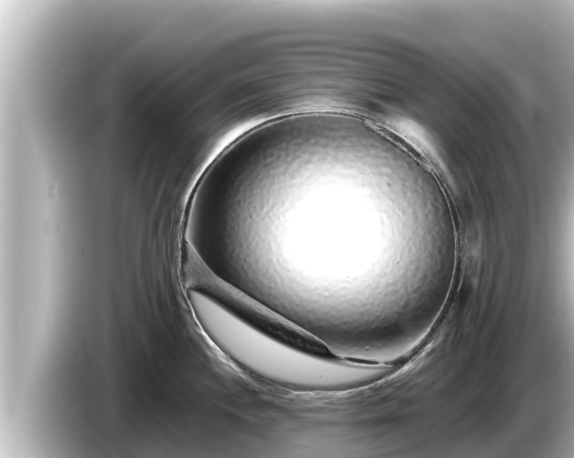 X0000085311244200703161446