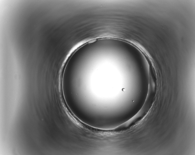X0000085311246200703161446