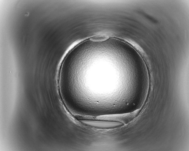 X0000085311248200703161446