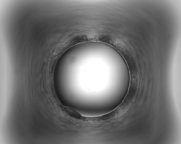 X0000085311249200703161446