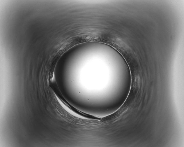 X0000085311250200703161446